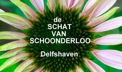 schat