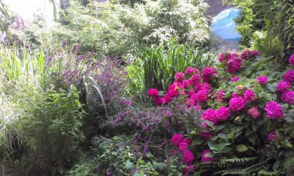 2015-07-31-heesterheuvel-en-muurschildering-IMAG1623-1024x613