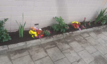 geveltuin