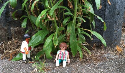 playmobil